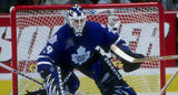 FELIX POTVIN - Toronto Maple Leafs Signed