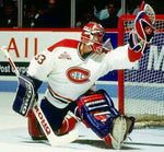 PATRICK ROY Montreal Canadiens Retirement Banner